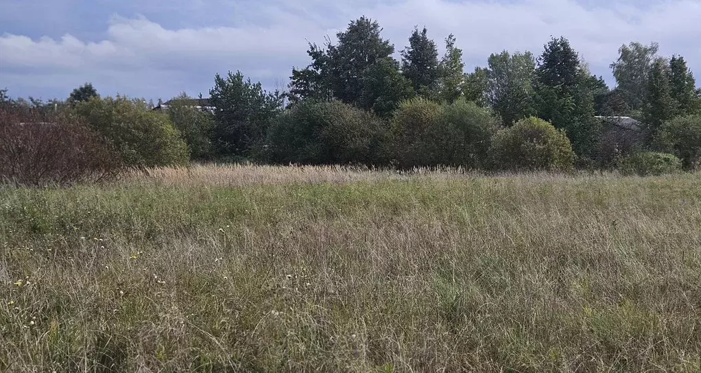 Участок в Псковская область, Палкино рп  (11.0 сот.) - Фото 2