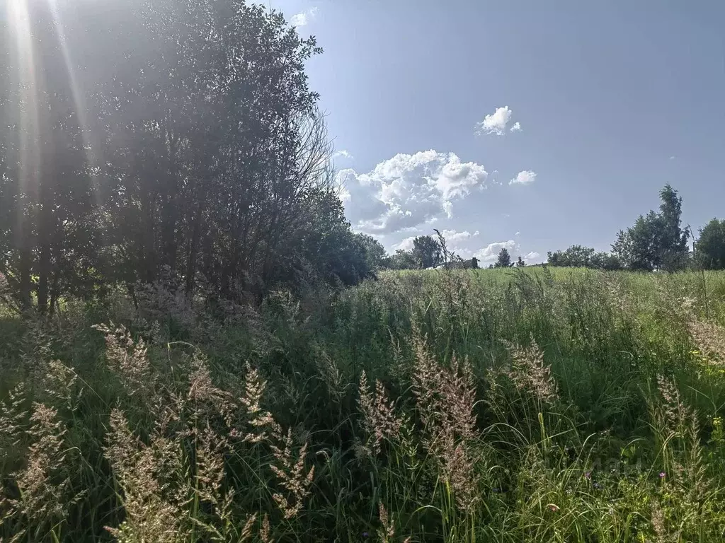 Участок в Московская область, Клин городской округ, д. Бирево  (17.11 ... - Фото 1