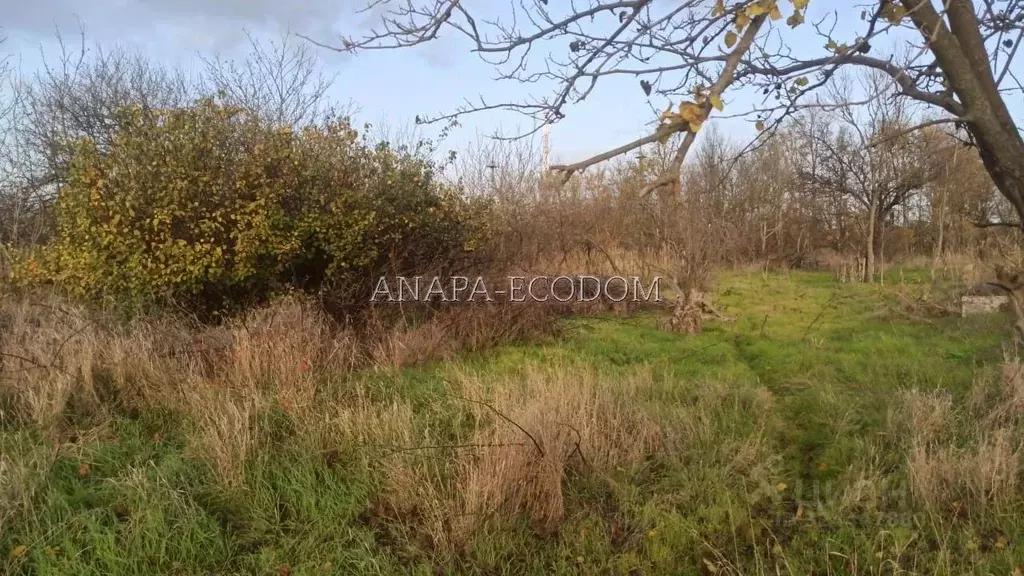 Участок в Краснодарский край, Темрюкский район, Старотитаровское ... - Фото 1