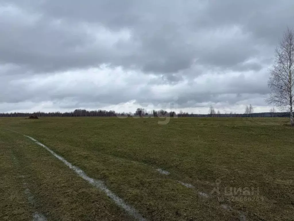 Участок в Пермский край, Ильинский муниципальный округ, д. Плотники ... - Фото 1