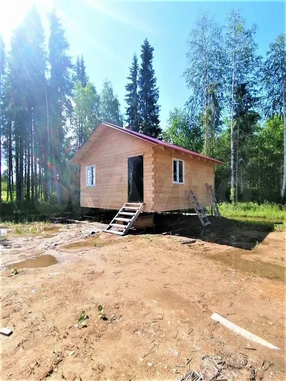 Дом 33,6 м на участке 20,6 сот. - Фото 1