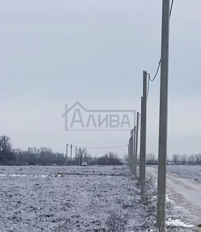 Участок в Ростовская область, Мясниковский район, Краснокрымское ... - Фото 1