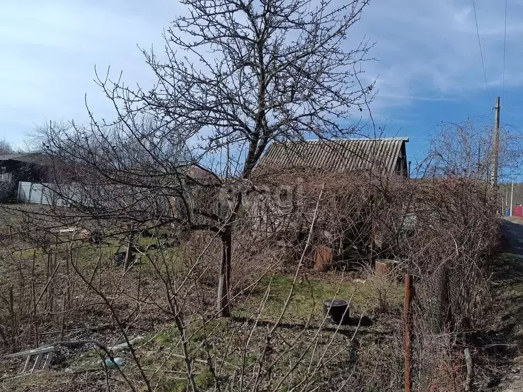 Участок в Курская область, Курский район, Моковский сельсовет, Сосенка ... - Фото 1