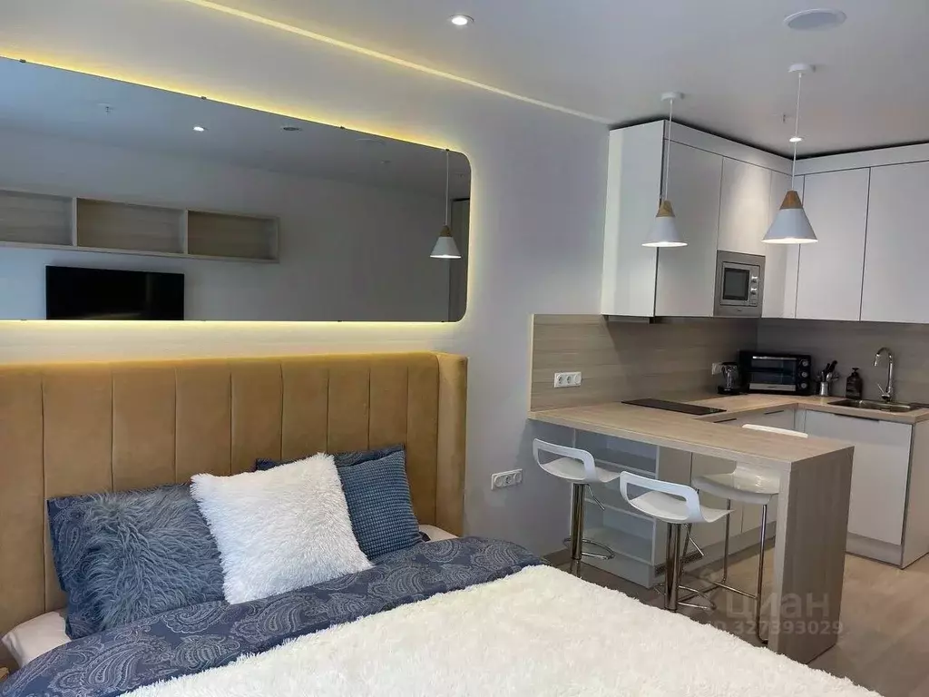 Студия Санкт-Петербург Социалистическая ул., 21 (30.0 м) - Фото 1