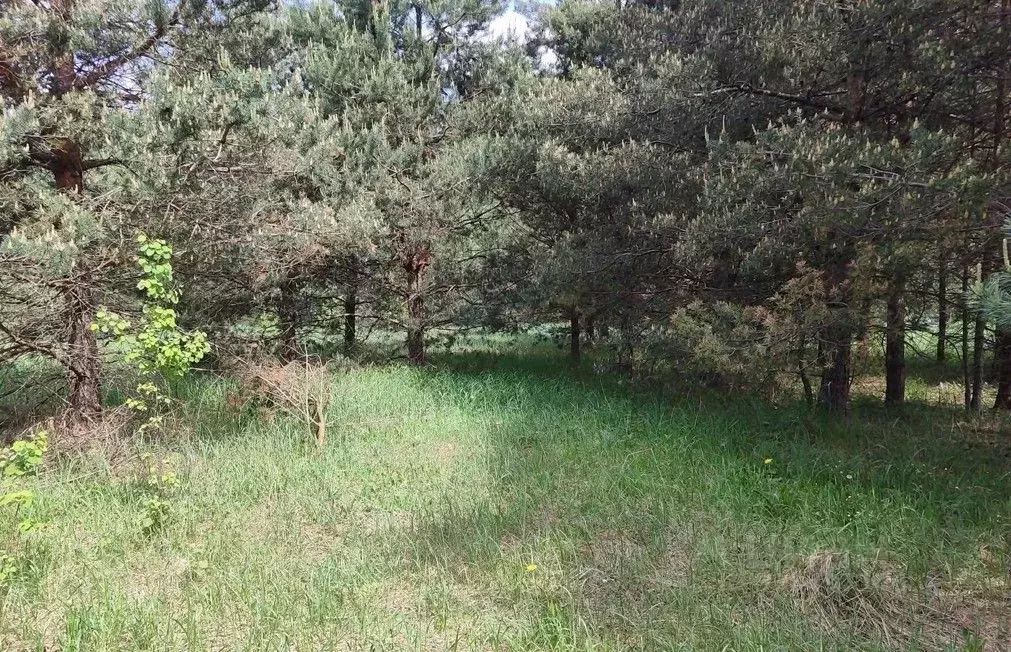 Участок в Московская область, Орехово-Зуевский городской округ, д. ... - Фото 1