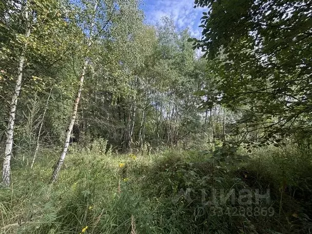 Участок в Московская область, Воскресенск городской округ, Хорлово пгт ... - Фото 0