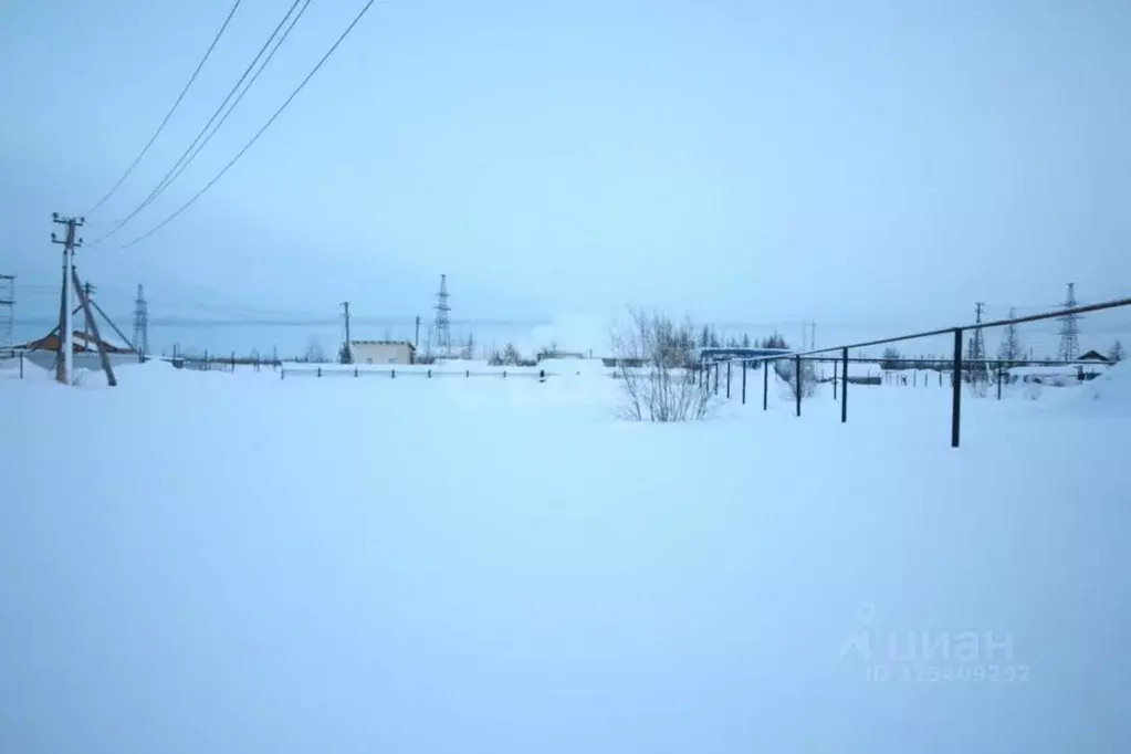 Участок в Ямало-Ненецкий АО, Новый Уренгой Северный Берег ДНТ, 7 (4.76 ... - Фото 1