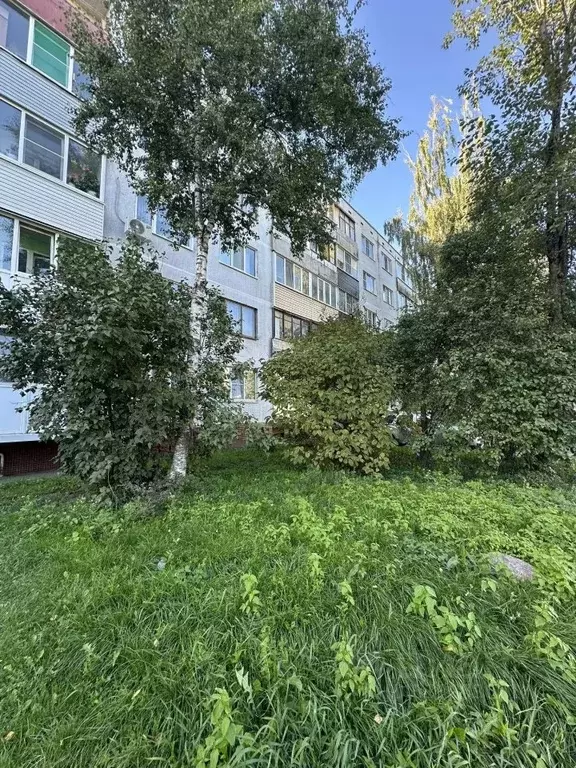 3-к кв. Псковская область, Псков ул. Новоселов, 15 (70.0 м) - Фото 1