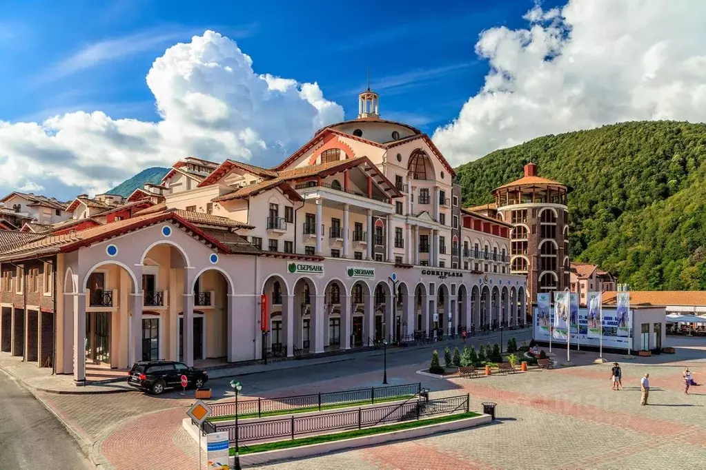 Помещение свободного назначения в Краснодарский край, Сочи с. ... - Фото 1