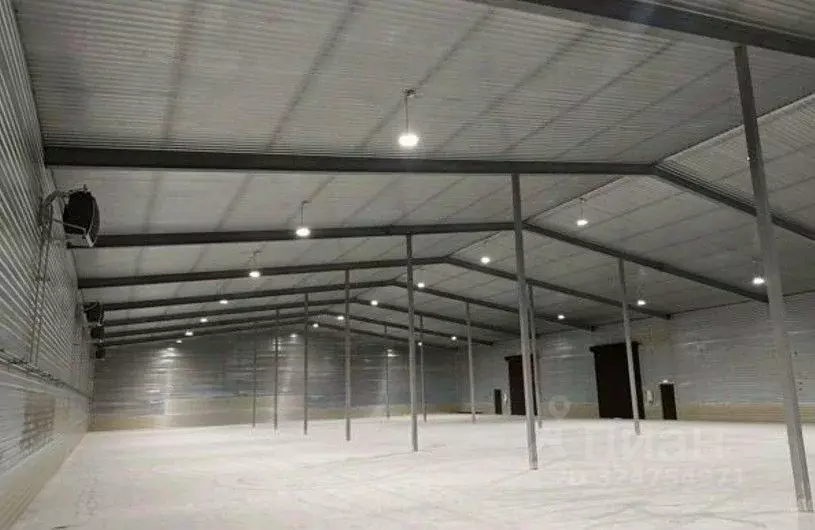 Склад в Ленинградская область, Тельмана Тосненский район, ул. ... - Фото 2