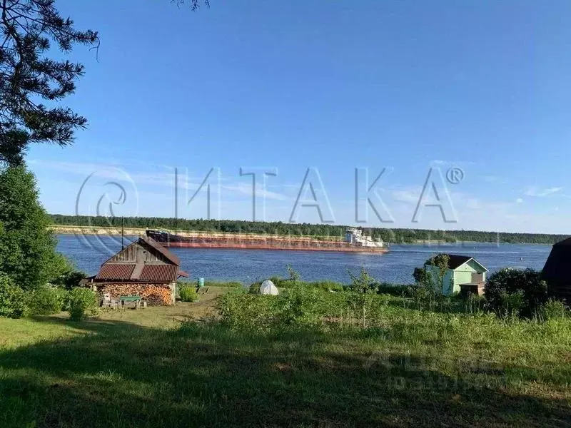 Участок в Ленинградская область, Лодейнопольский район, Янегское ... - Фото 1