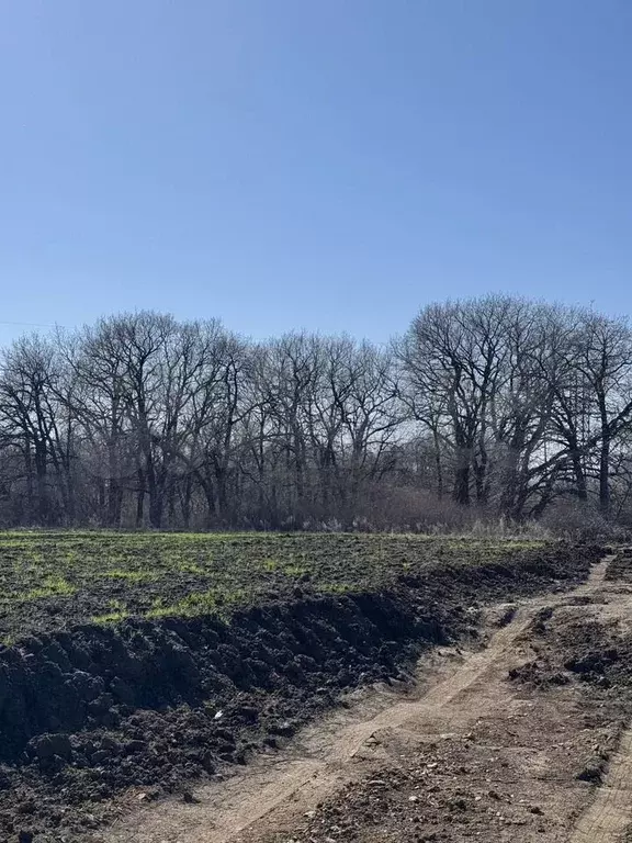 Участок 8 сот. (СНТ, ДНП) - Фото 0