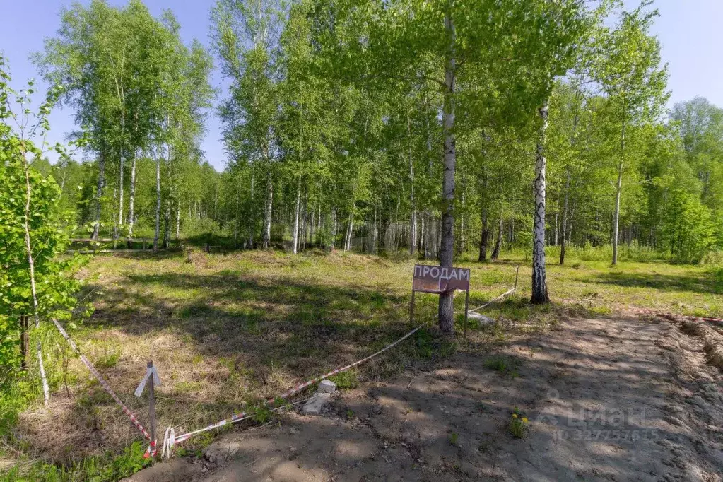 Участок в Тюменская область, Нижнетавдинский муниципальный округ, ... - Фото 1