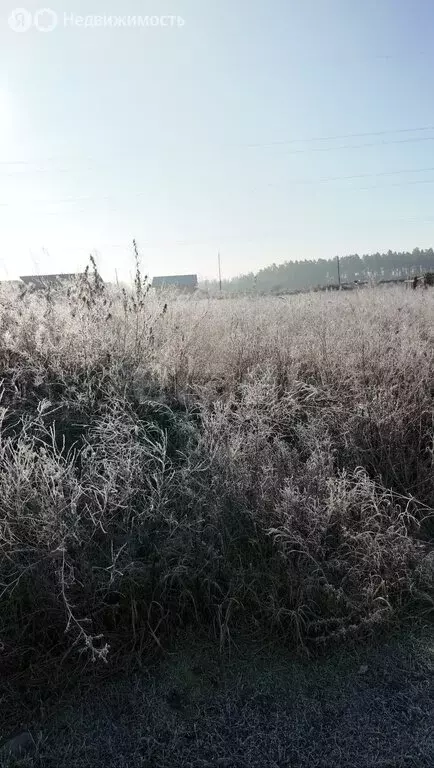 Участок в Красноярский край, Минусинский муниципальный округ, ... - Фото 1