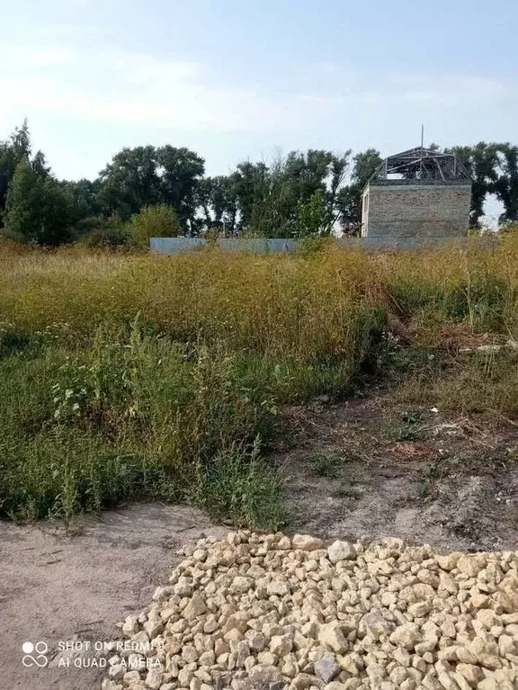 Участок в Воронежская область, с. Новая Усмань ул. Пятницкого (12.0 ... - Фото 0