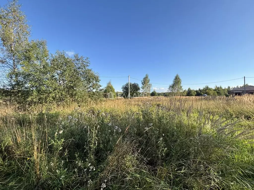 Участок в Ивановская область, Ивановский район, Куликовское с/пос, д. ... - Фото 0