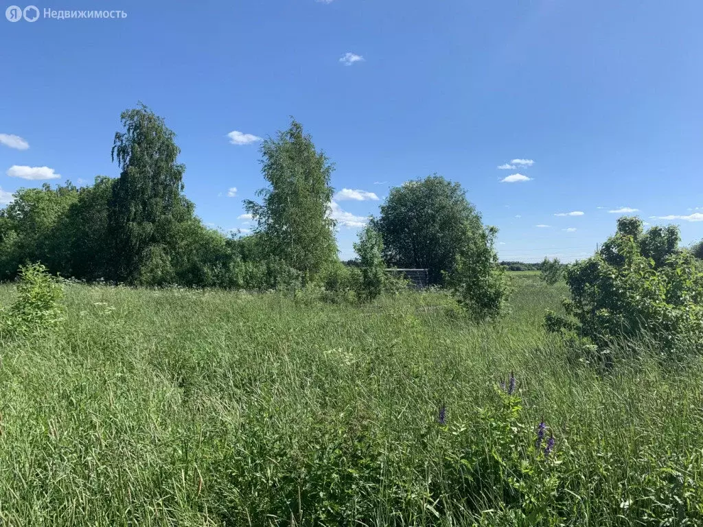 Участок в Вологодский муниципальный округ, деревня Шульгино (6 м) - Фото 1