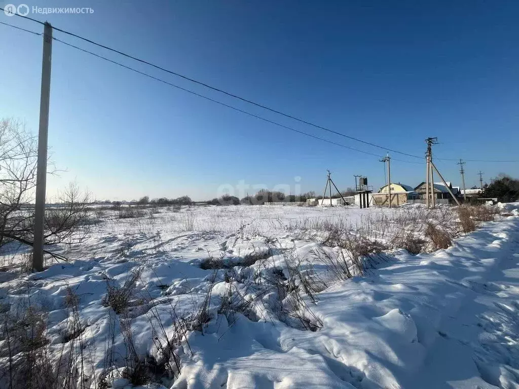 Участок в Амурская область, Благовещенский муниципальный округ, село ... - Фото 0