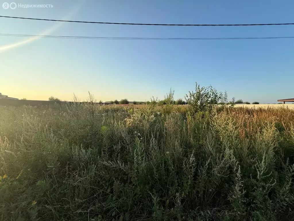 Участок в Суромна, Введенская улица (14.9 м) - Фото 0