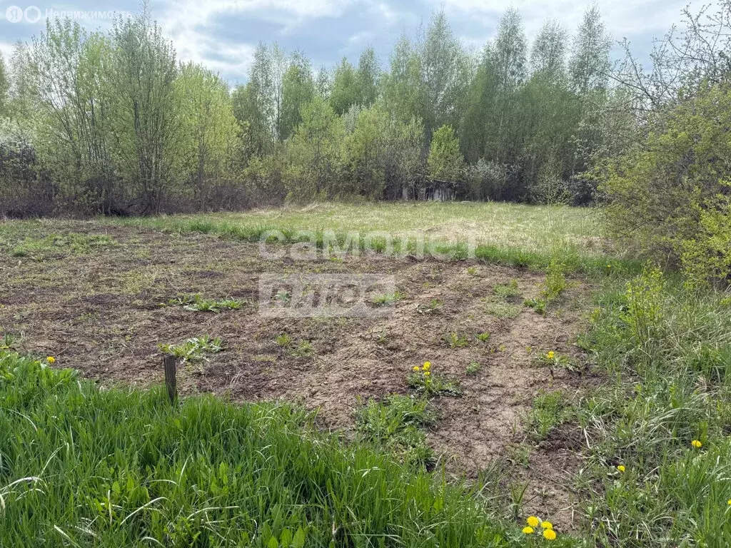 Участок в Медведевский район, Знаменское сельское поселение, СНТ ... - Фото 2