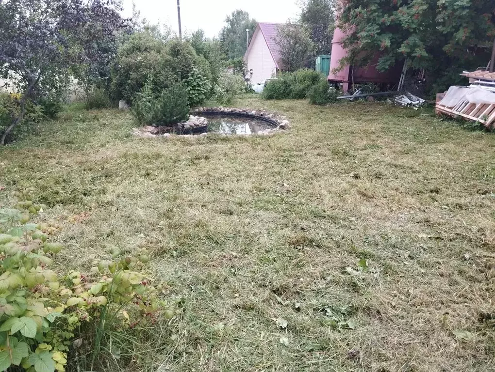 Участок в Пермский край, Пермский муниципальный округ, Заозерье СНТ  ... - Фото 2