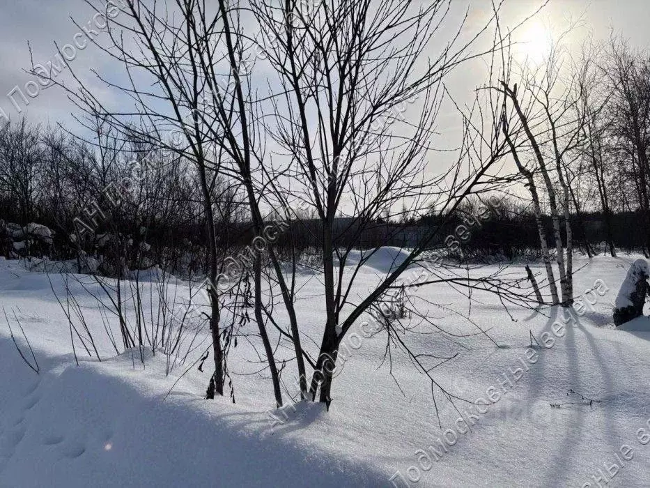 Участок в Московская область, Истра муниципальный округ, д. Котово, ... - Фото 2