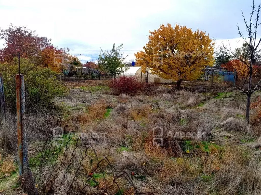 Участок в Волгоградская область, Волгоград Лесник-2 СНТ,  (6.0 сот.) - Фото 1