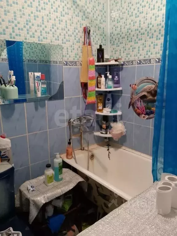 Комната Новосибирская область, Бердск Спортивная ул., 1 (34.0 м) - Фото 2