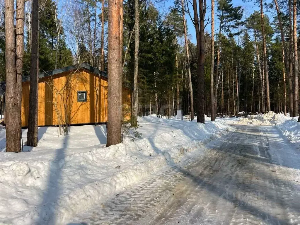 Участок в Московская область, Чехов муниципальный округ, д. Слепушкино ... - Фото 1
