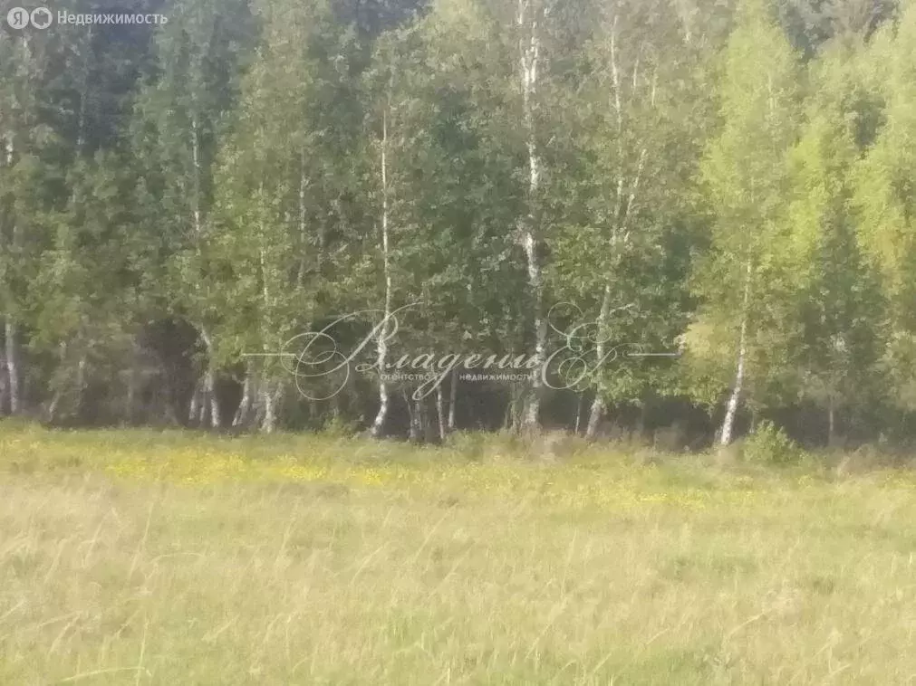 участок в никольское муниципальное образование, деревня рязановщина, . - Фото 1