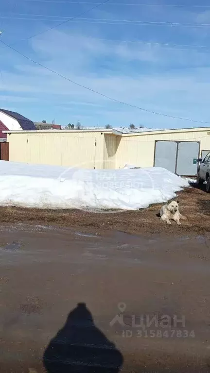Дом в Пермский край, Чернушинский городской округ, д. Ашша ул. ... - Фото 1