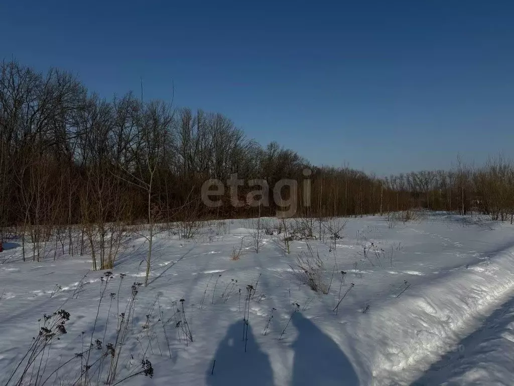 Участок в Курская область, Курск ул. Евгения Носова (10.0 сот.) - Фото 1