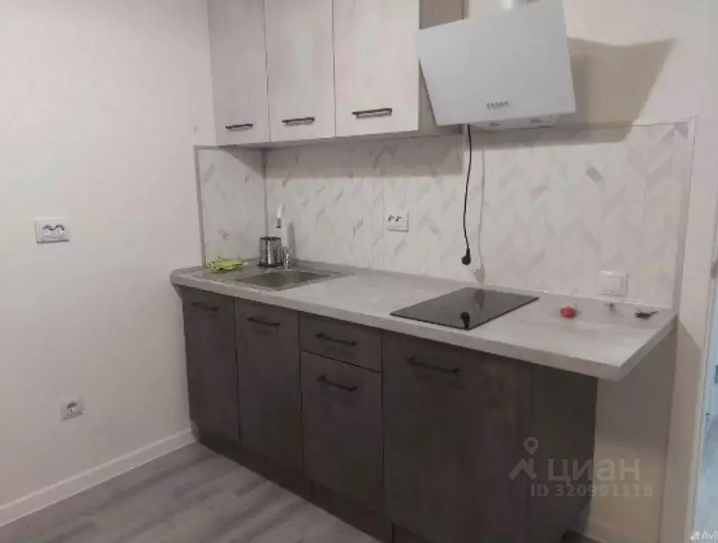 Студия Ленинградская область, Всеволожский район, Свердловское ... - Фото 1