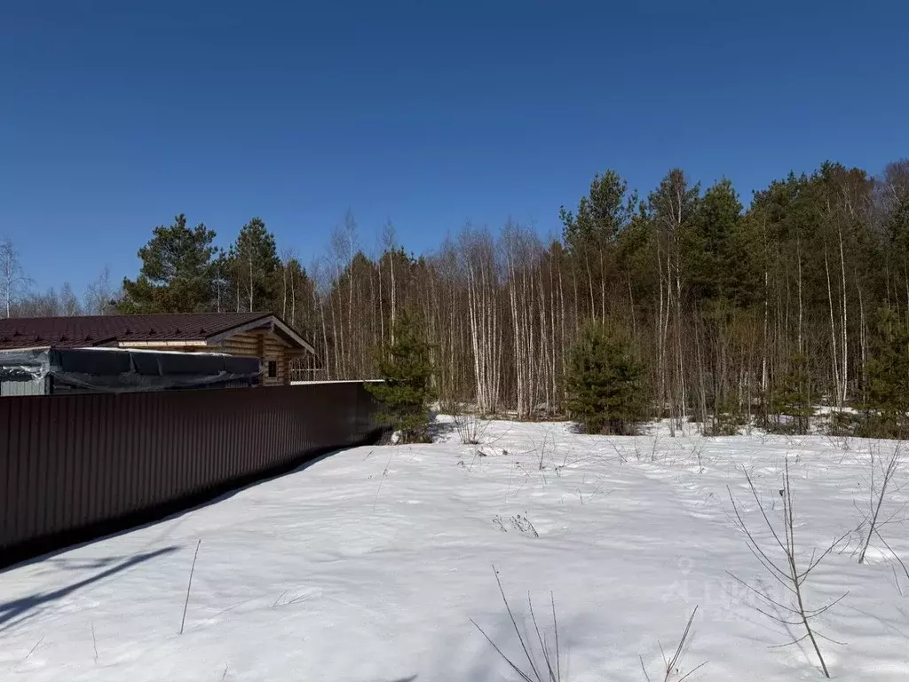 Участок в Московская область, Чехов муниципальный округ, д. Солнышково ... - Фото 1