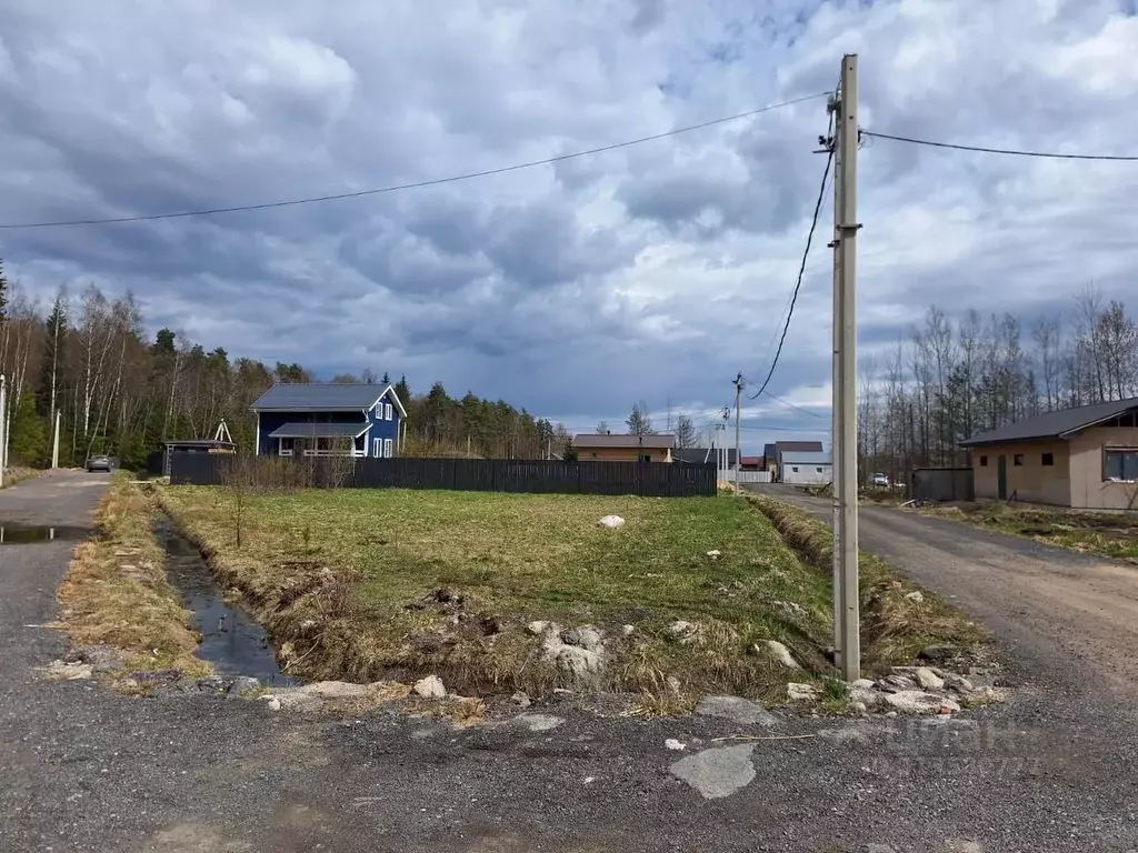 Участок в Ленинградская область, Всеволожский район, Лесколовское ... - Фото 1