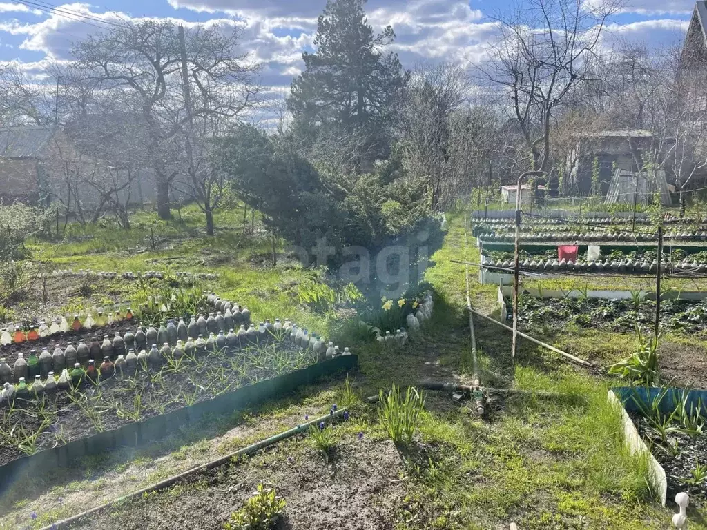 Дом в Саратовская область, Саратов Березовая роща СНТ, проезд 3-й ... - Фото 2