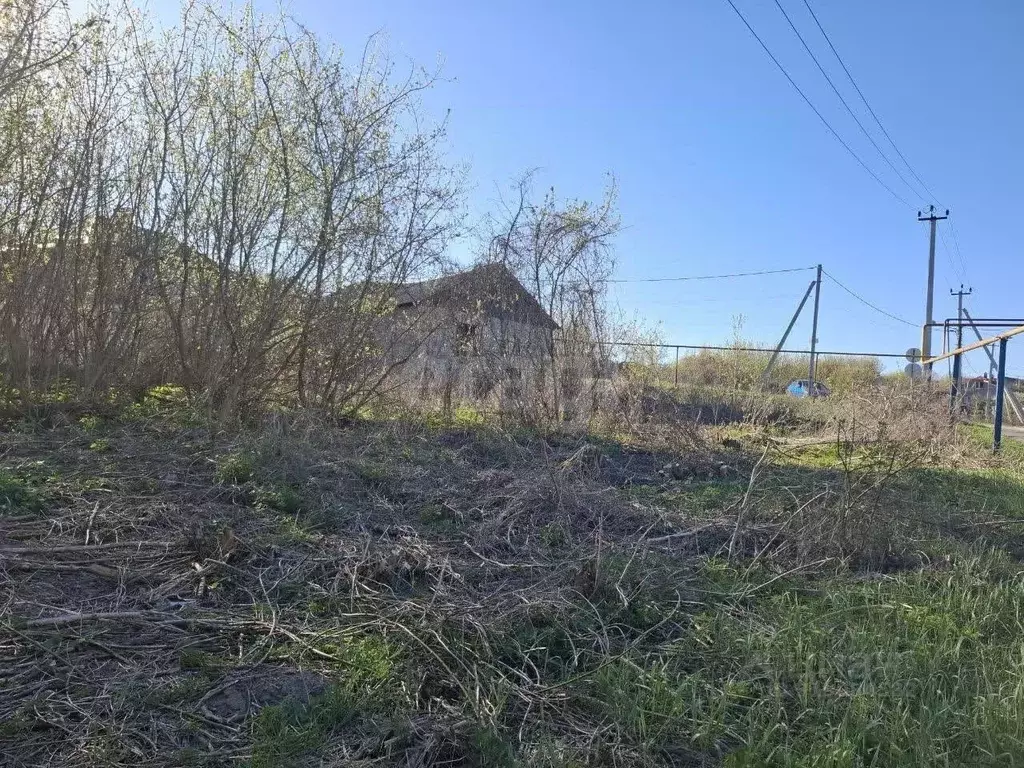 Участок в Белгородская область, Яковлевский муниципальный округ, с. ... - Фото 1