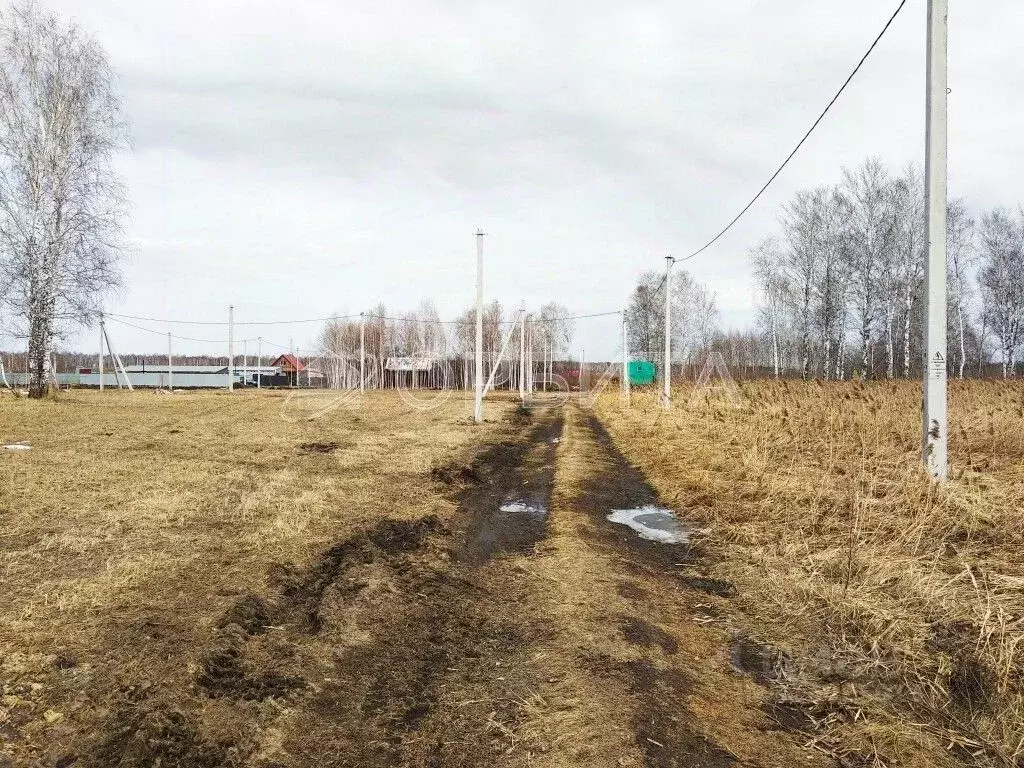 Участок в Тюменская область, Тюмень Зеленый Бор ДНТСН, ул. Крымская ... - Фото 1