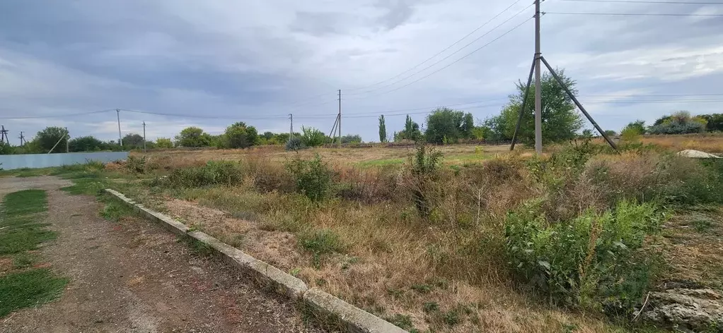 Участок в Саратовская область, Энгельсский район, Красноярское ... - Фото 0