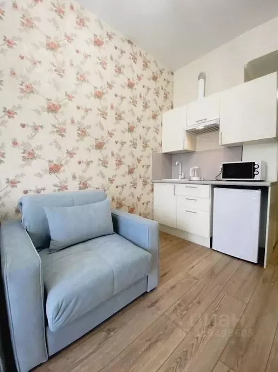 1-к кв. Краснодарский край, Сочи Виноградная ул., 89/2 (29.0 м) - Фото 1