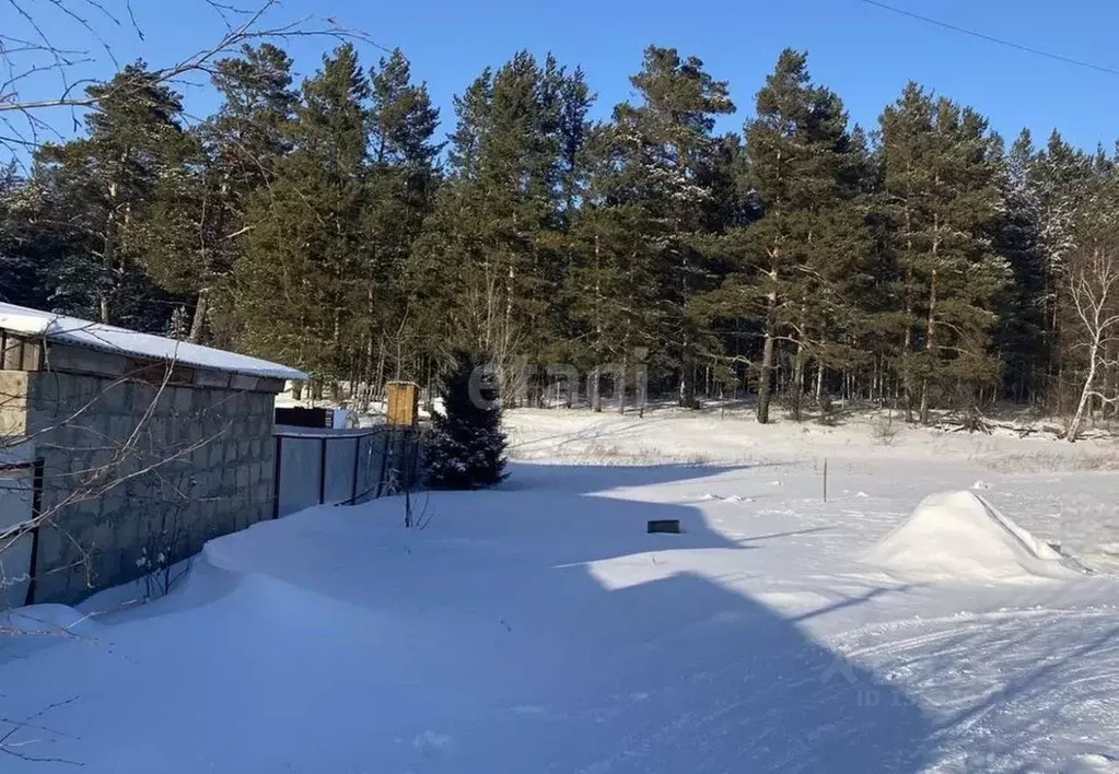 Участок в Алтайский край, Барнаул городской округ, Поселок Борзовая ... - Фото 1