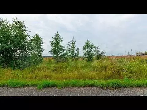 Участок 11,6 сот. (личное подсобное хозяйство (лпх)) - Фото 1