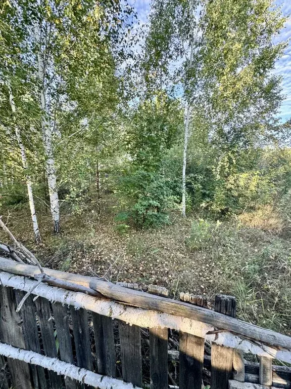Участок в Курганская область, Кетовский муниципальный округ, Надежда ... - Фото 2