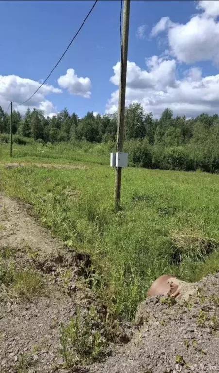 Участок в Ленинградская область, Выборгский район, Красносельское ... - Фото 0