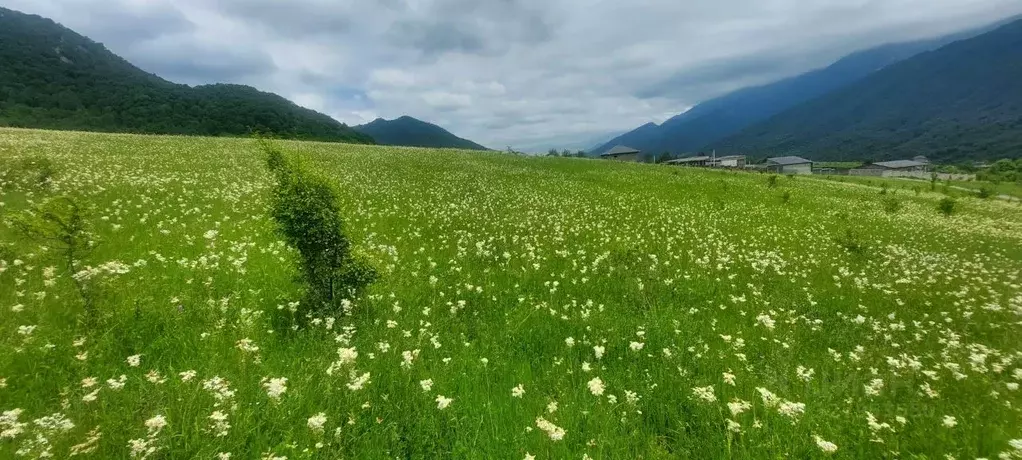 Участок в Северная Осетия, Владикавказ Надежда СНТ, ул. Строителей ... - Фото 1