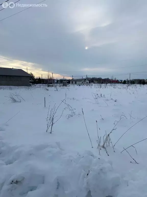 Участок в Искитимский район, село Морозово (15 м) - Фото 2