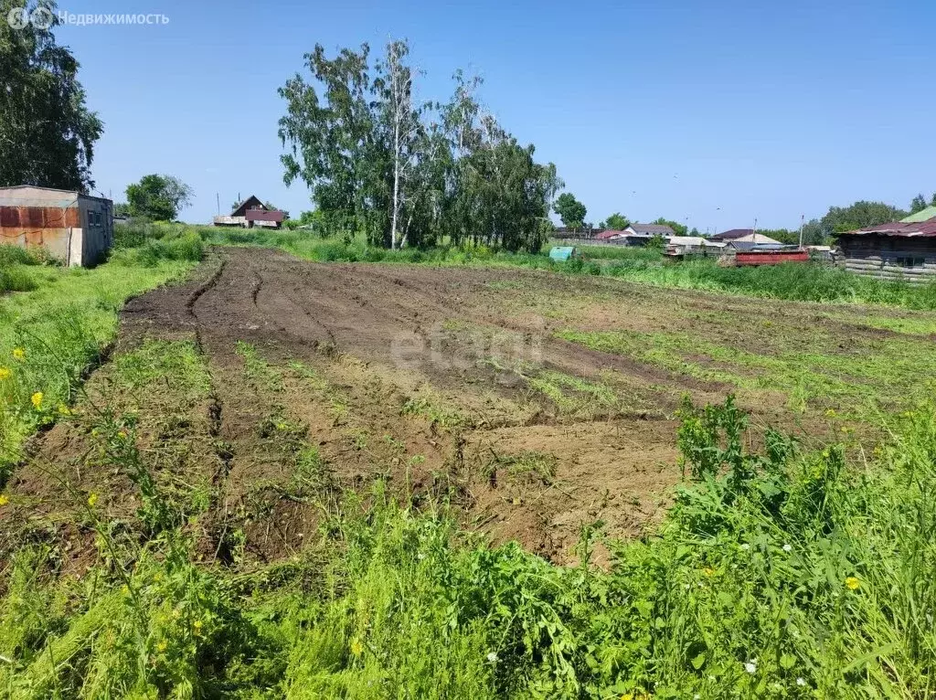Участок в Искитимский район, село Быстровка (15 м) - Фото 0