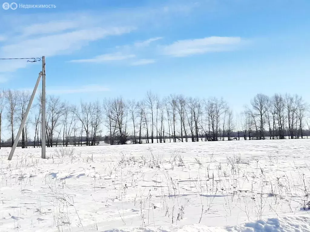 Участок в село Новая Усмань, улица Конструкторов, 105 (10 м) - Фото 1