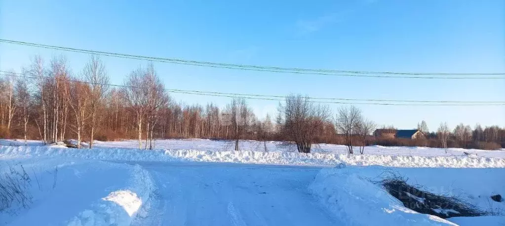 Участок в Тюменская область, с. Ярково  (10.0 сот.) - Фото 0