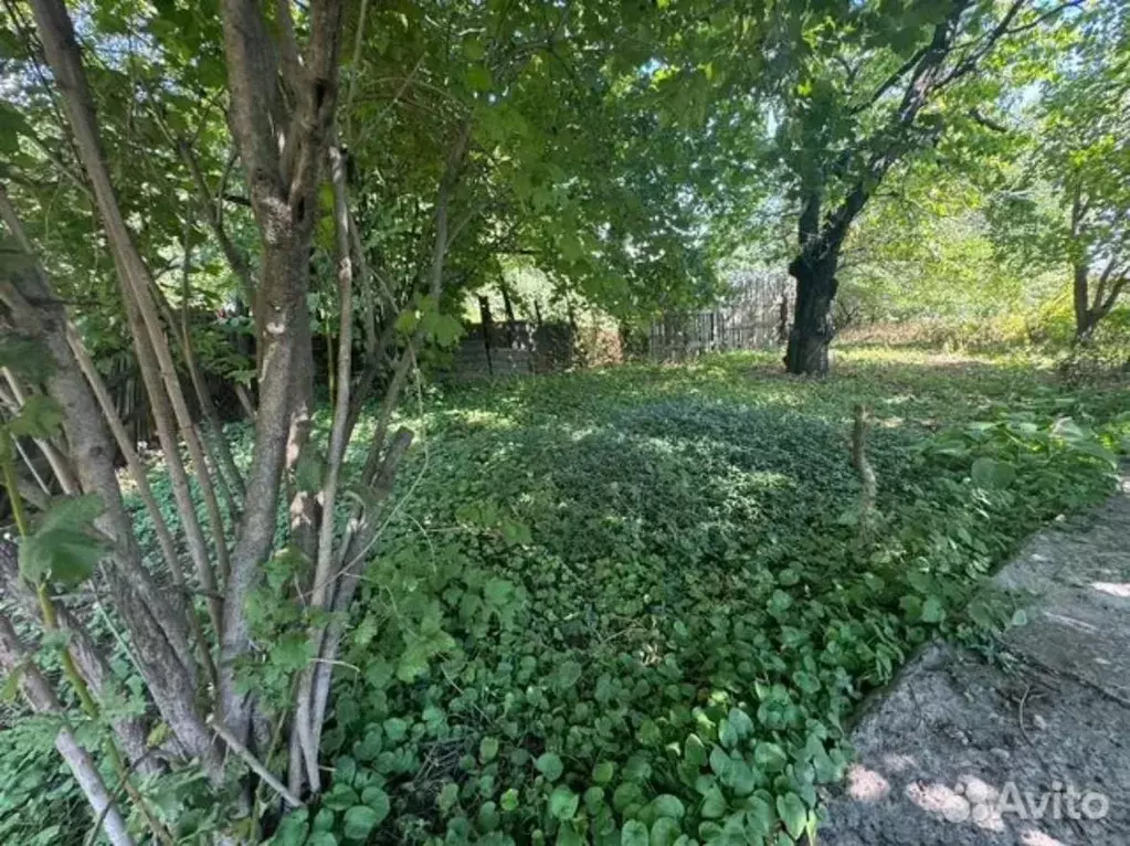 Участок в Ростовская область, Ростов-на-Дону Садовод-Любитель садовое ... - Фото 1